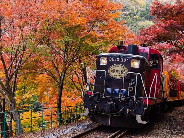 A scenic train journeys through vibrant red and orange autumn foliage