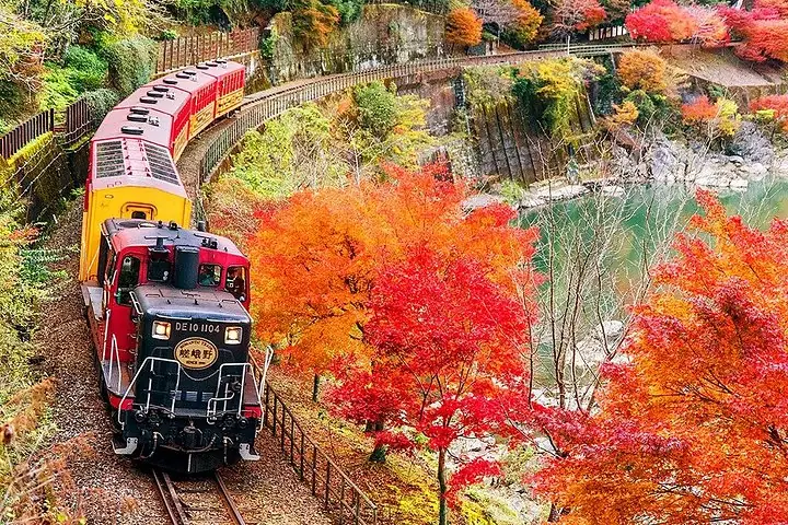 Un tren recorre una vía curva junto a un bosque otoñal vibrante