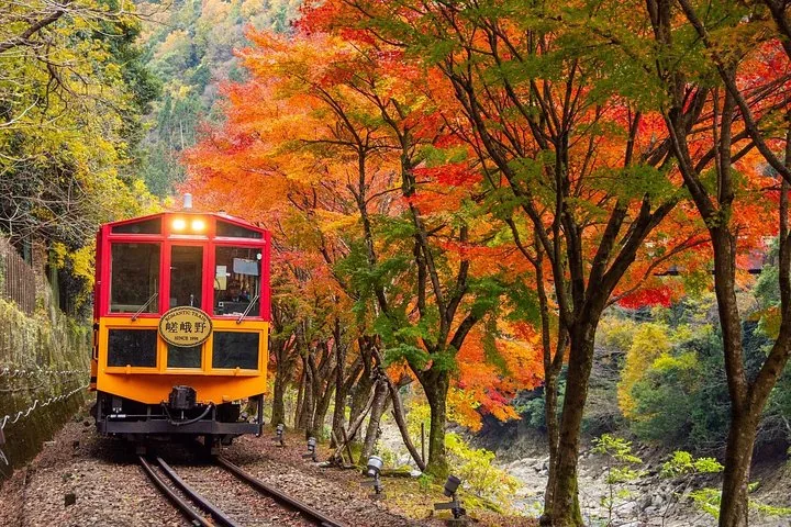 Ein gelb-roter Panoramazug fährt durch leuchtendes Herbstlaub