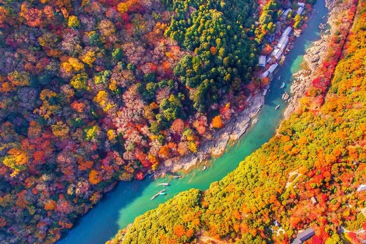 Vista aérea de embarcaciones en un río que atraviesa un bosque otoñal vibrante
